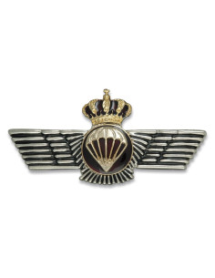 metallic rockski skydiver