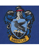 Flag wall of the House Ravenclaw, Harry Potter