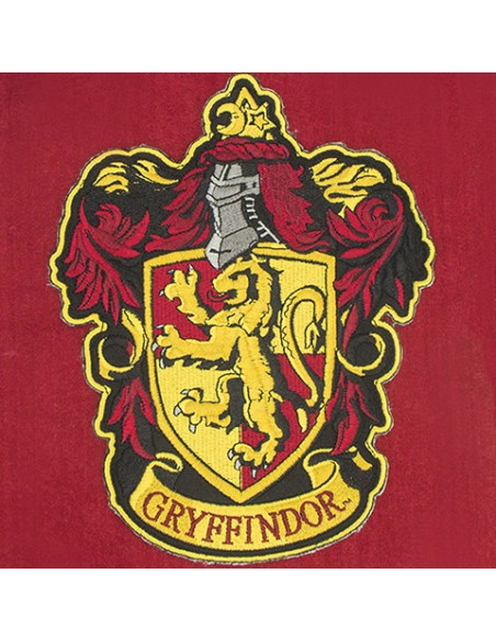 Gryffindor House Wall Banner, Harry...