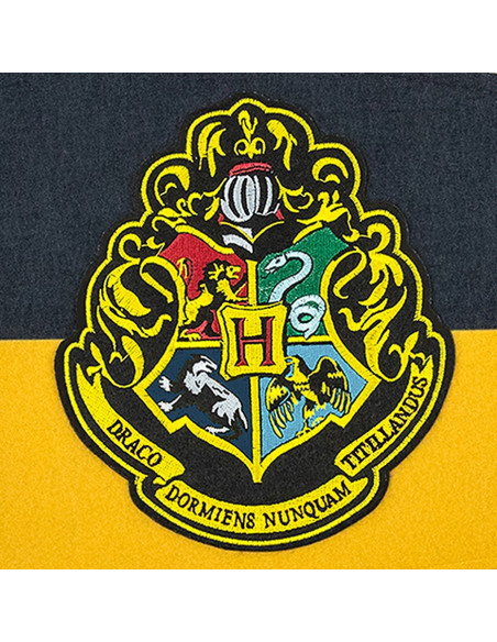 Hogwarts School Pennant, Harry Potter