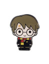 Harry Potter pin