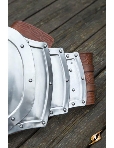 Metal wild pancera, polished finish