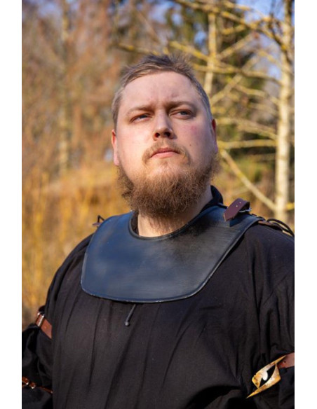Medieval warrior's gorget, dark color