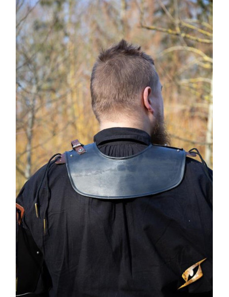 Medieval warrior's gorget, dark color