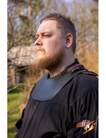 Medieval warrior's gorget, dark color