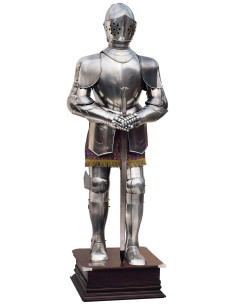 Silver natural armor with sword in his hands 2