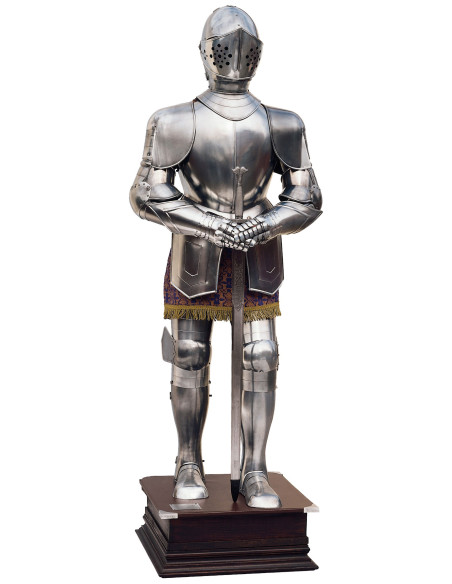 Silver natural armor with sword in his hands