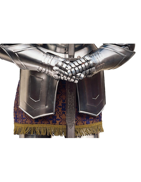Silver natural armor with sword in his hands