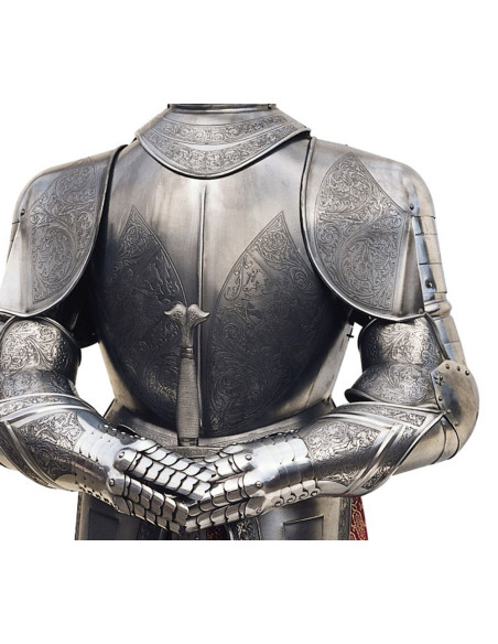 Silver natural armor with engravings and sword in the hands