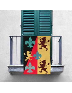 Medieval Lion-Fleur de Lis Banner (70x100 cms.) 2