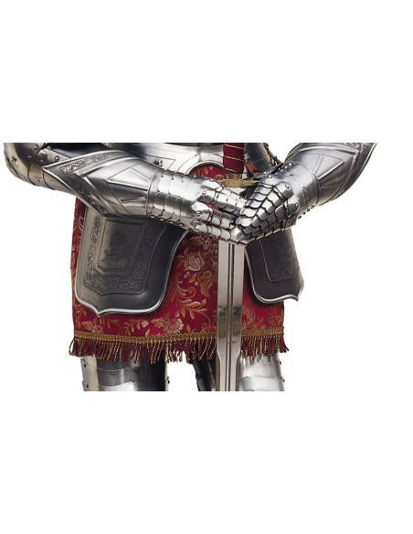 Silver natural armor with engravings, garnet suit and sword in his hands
