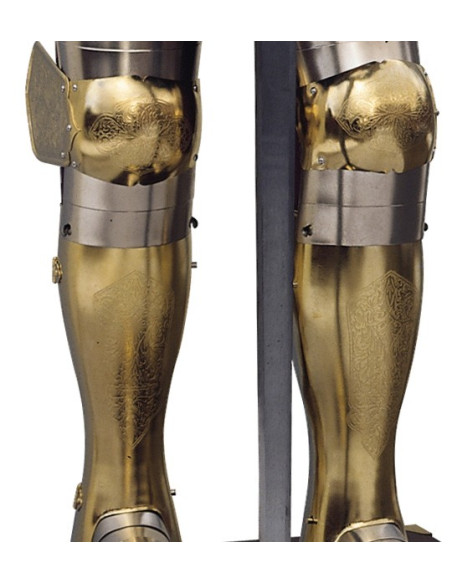 Natural silver and gold armor with engravings, garnet suit and sword in his hands