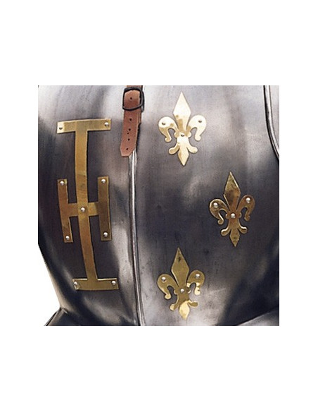 Natural armor with shield and spear