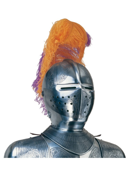 Natural silver armor with engravings, plume of feathers and sword in the hands