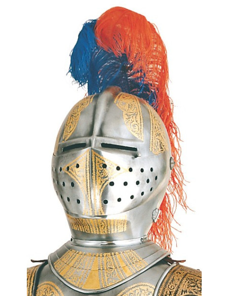 Silver natural armor with golden engravings and sword in the hands