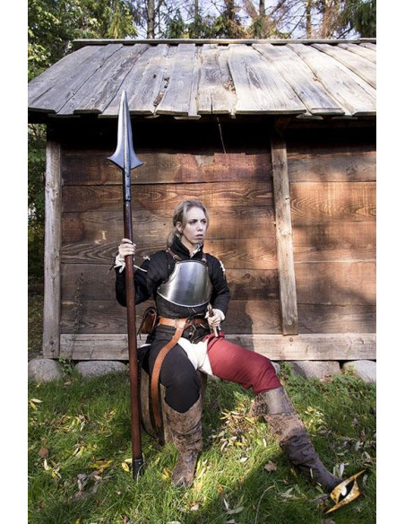 Medieval cuirass of Squire, polished...