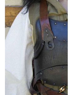 Rogue Light Armor, Epic Dark finish 2