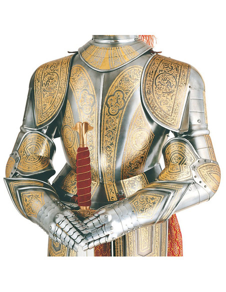 Silver natural armor with golden engravings and sword in the hands