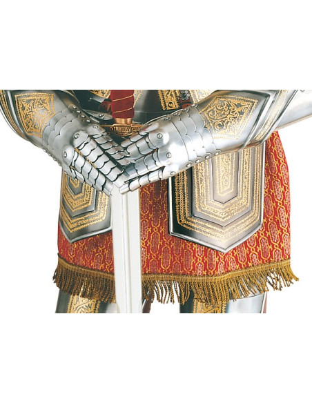 Silver natural armor with golden engravings and sword in the hands