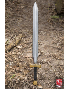 Sword Warrior Ready for Battle, LARP