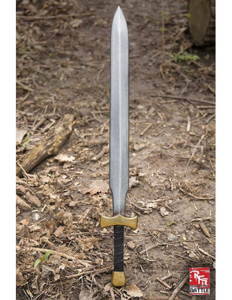 Sword Warrior Ready for Battle, LARP
