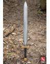Sword Warrior Ready for Battle, LARP