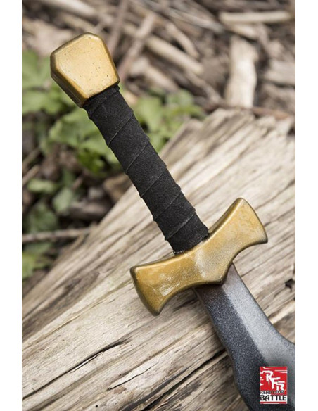 Sword Warrior Ready for Battle, LARP