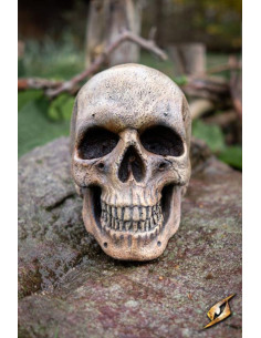 Human skull made of foam 2