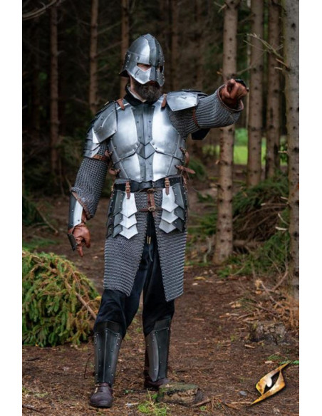 Dreki model medieval greaves,...