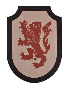 Dragon wooden shield, various colors