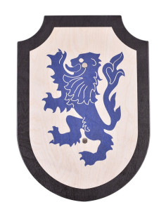 Dragon wooden shield, various colors 2
