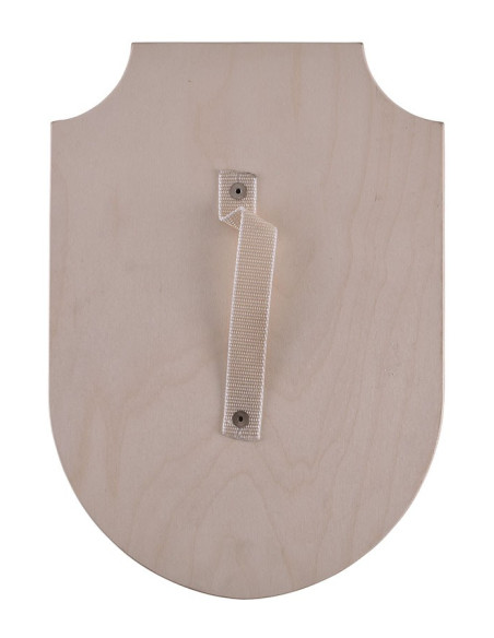 Dragon wooden shield, various colors