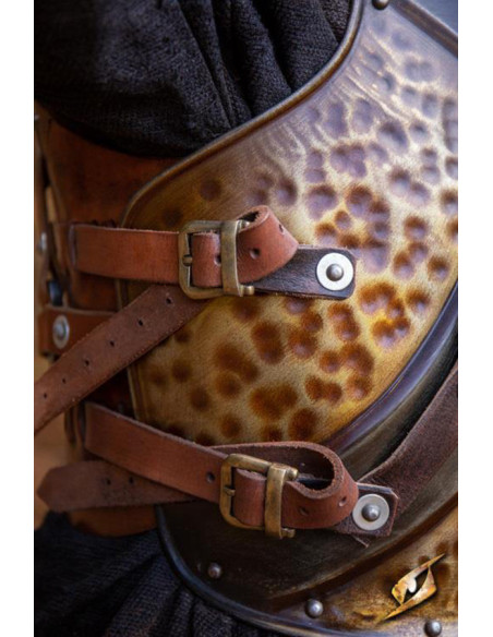 Breastplate and backrest of the Orc...