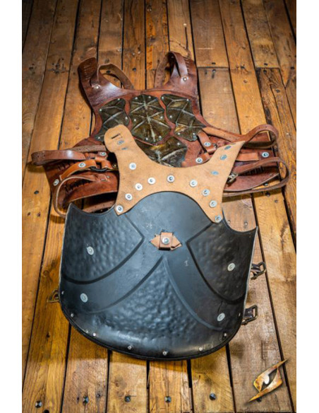 Breastplate and backrest of the Orc...