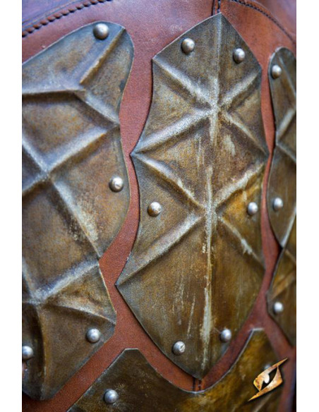 Breastplate and backrest of the Orc...