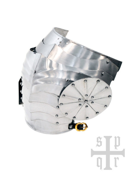 Pair of Gothic Steel Shoulder Pads,...