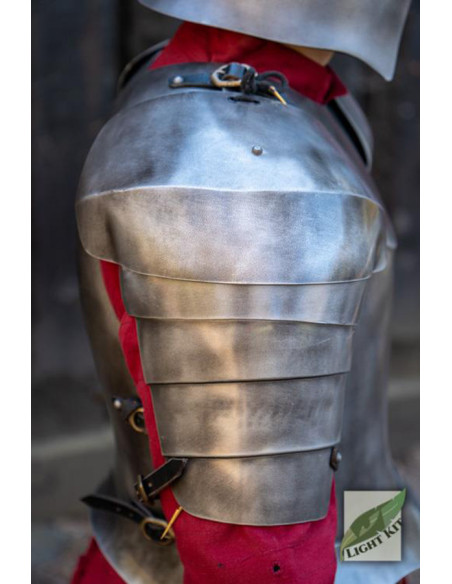 Pauldrons of the Palace Guards from...