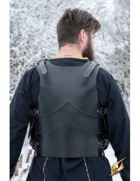 Fantasy medieval breastplate set...