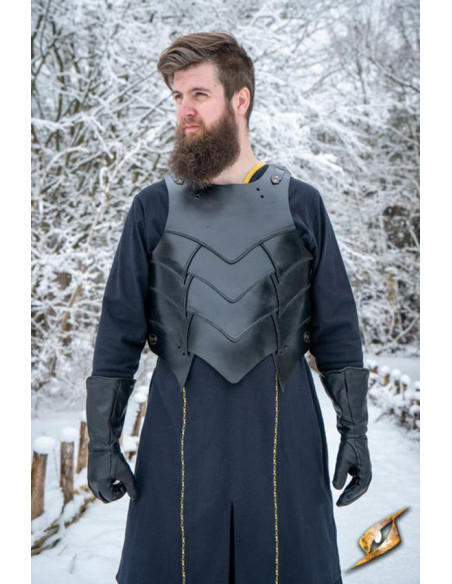 Fantasy medieval breastplate set...