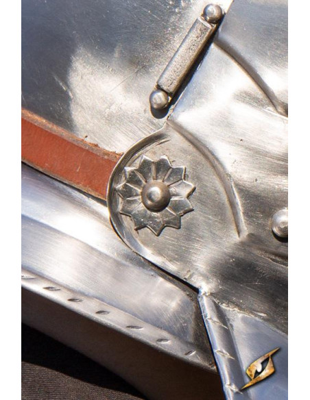 Burgundy helmet with polished steel...