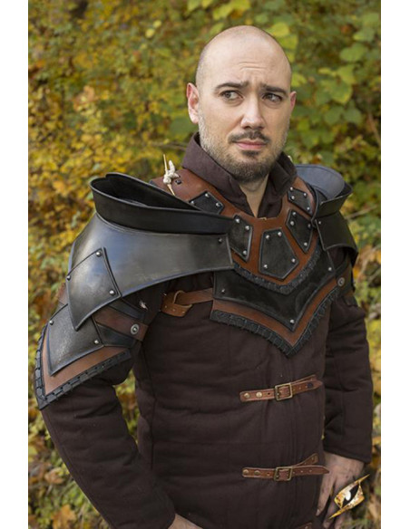 Rogue Shoulder Pads and Gorget Set,...