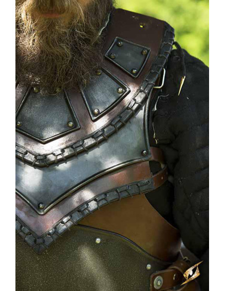 Rogue Shoulder Pads and Gorget Set,...