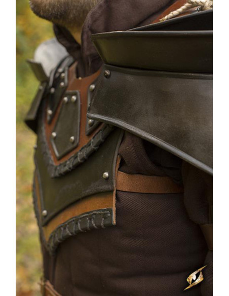 Rogue Shoulder Pads and Gorget Set,...