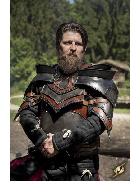 Rogue Shoulder Pads and Gorget Set,...