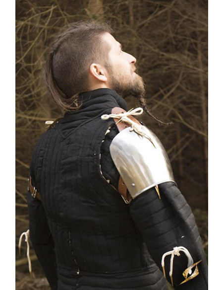 Shoulder pads Churburg armor polished...