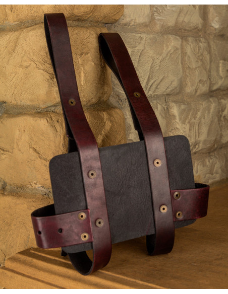 Baldric Tiberius to carry books in...