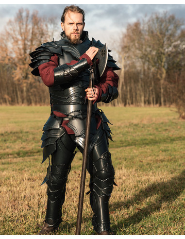 Medieval Dragomir full armor, burnished finish