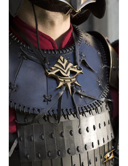 Shield Ratio Symbol armor pendant,...