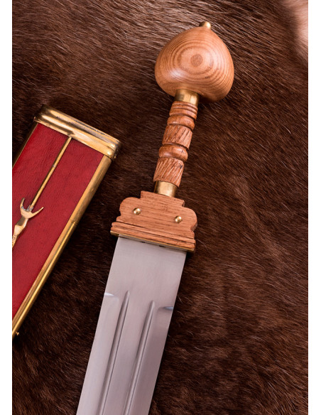 Long Roman spatha of a Roman...