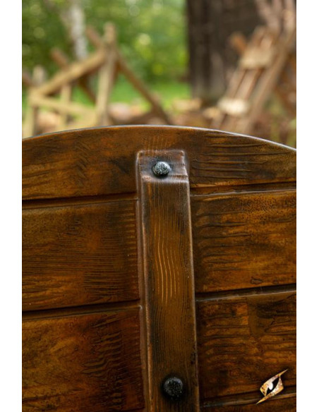 Viking shield Vegvisir Iarla in...